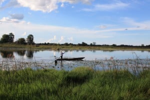 Exklusive Individualreisen - Botswana