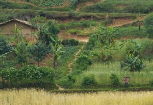 togo-reisen-togo-rundreisen-togo-und-benin-reisen