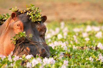 namibia-suedafrika-botswana-rundreise
