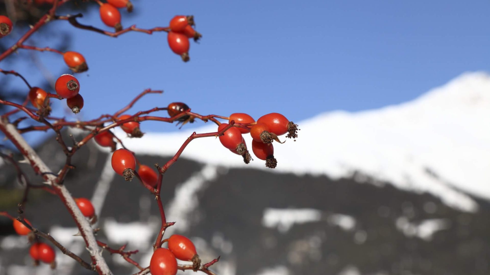 Frankreich – Nationalpark Vanoise ein Juwel Frankreichs