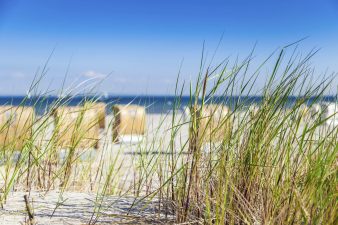 Deutschland Naturreise - Aktivreise im Nationalpark Vorpommersche Boddenlandschaft