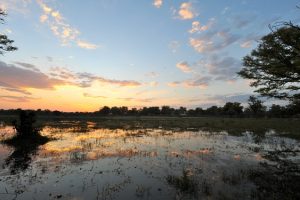 Botswana Reisebericht – Eine Reise ins Okavango Delta