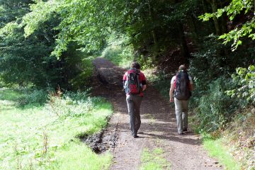 Reisebericht Eifel – Geopark Vulkaneifel - Wandern in Deutschland