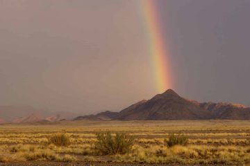 Namibia – Wann ist die beste Reisezeit?