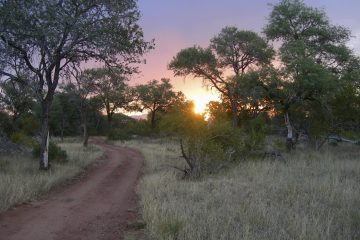 Südafrika – beste Reisezeit für Südafrika