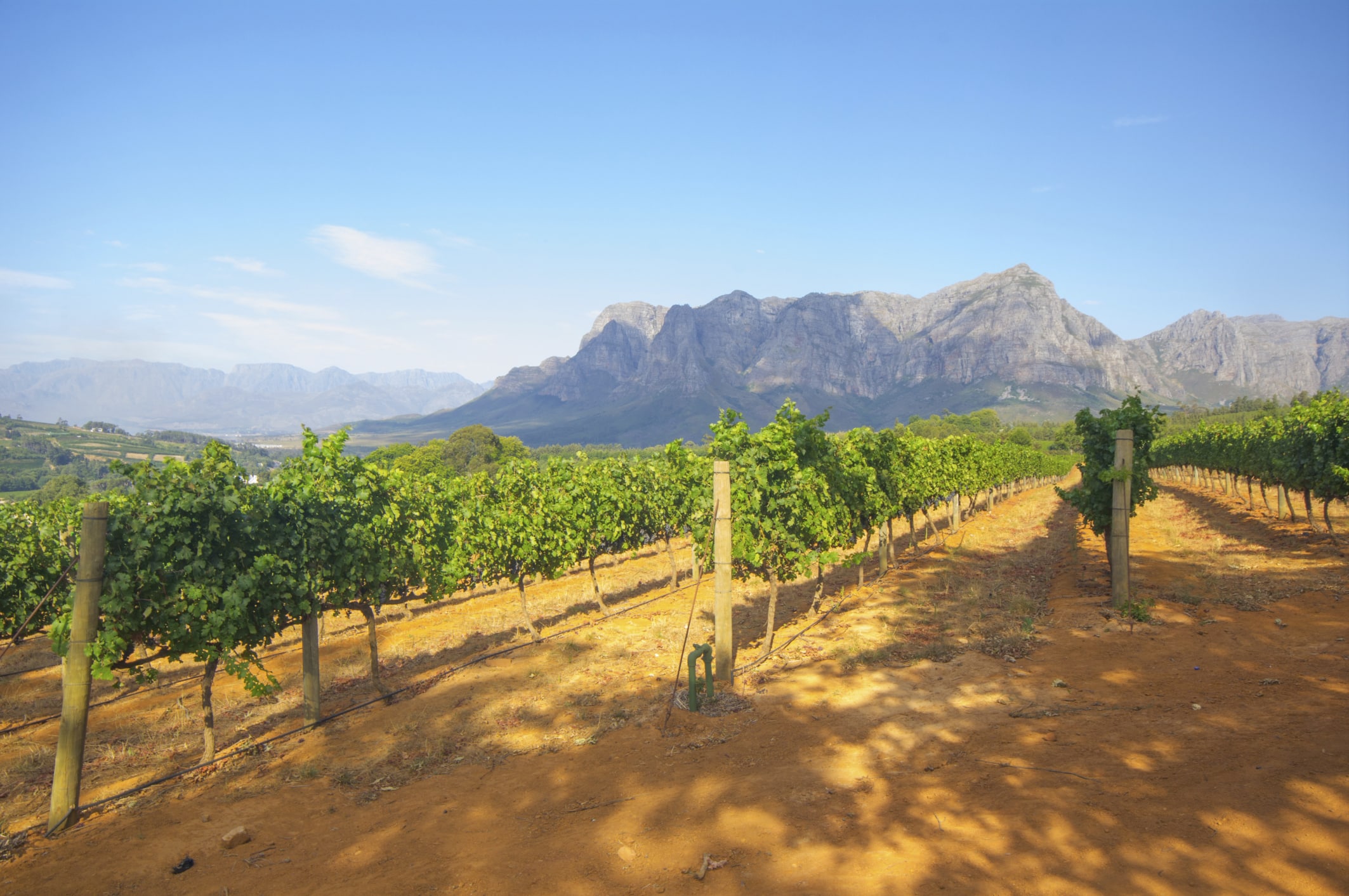 Weingut Stellenbosch - Südafrika Rundreise