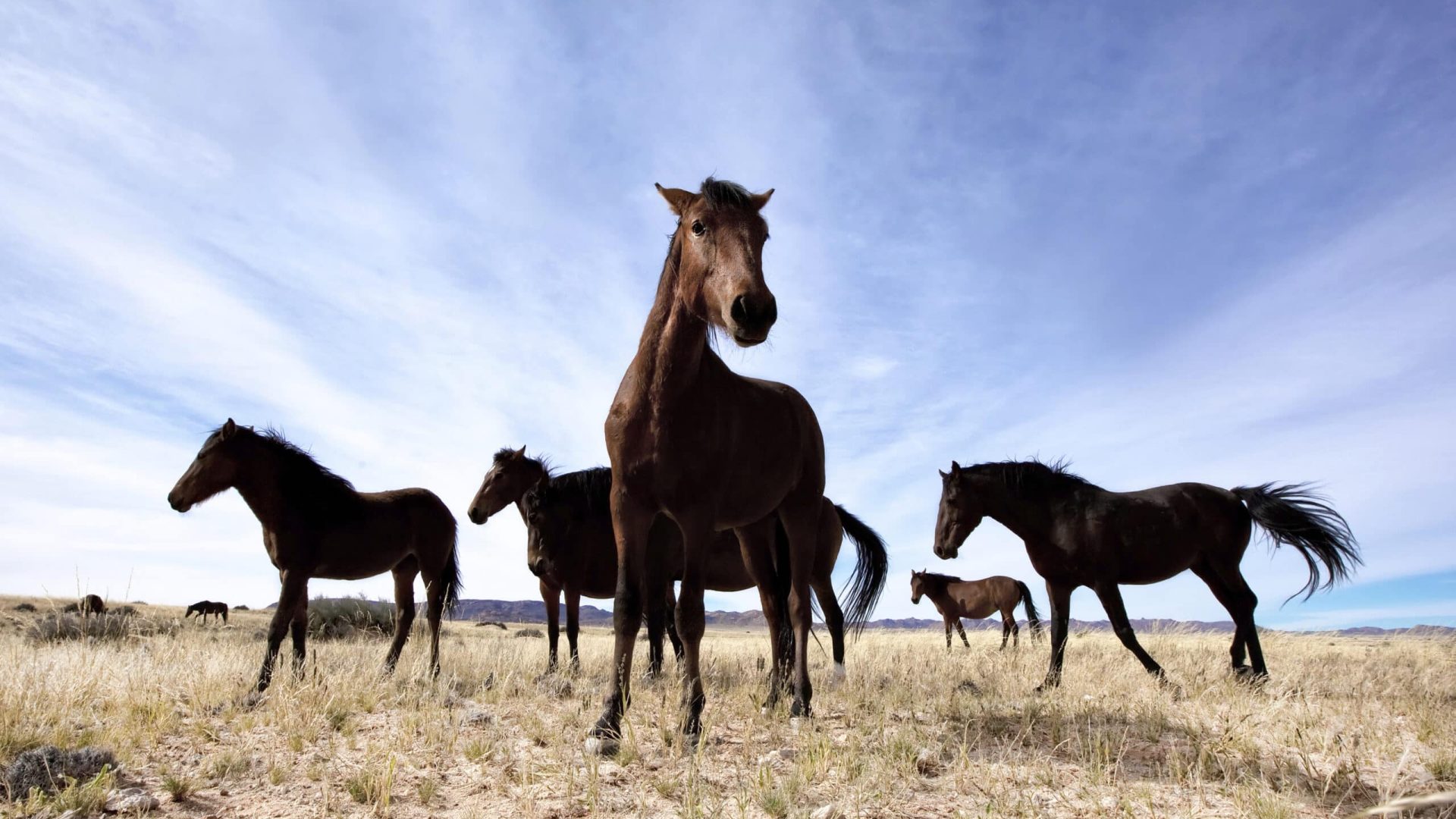 10 Dinge, die Sie in Namibia unternehmen sollten