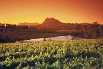 Weinreisen in Südafrika