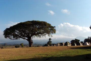 Caming Reisen in Afrika buchen