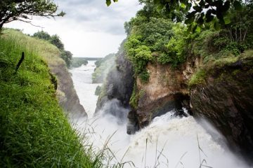 Uganda Safari im Murchison Falls Nationalpark