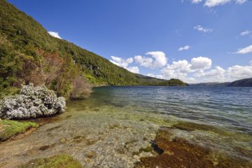 Neuseeland Sehenswürdigkeiten- Wellington