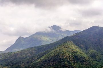 Tansania National Park