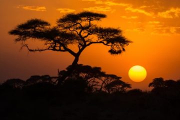 sunset africa