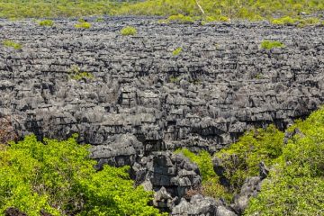 Madagaskar Urlaub im September