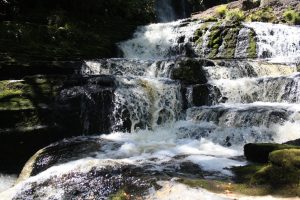 Wasserfall - Southland - Neuseeland im November