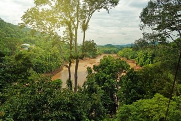 Taman Negara National Park