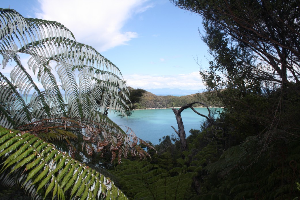 Abel Tasman Track Neuseeland 