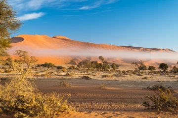 Die Wüste Namib