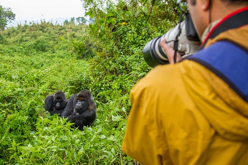 ruanda_berggorillas_fotograf_rundreise