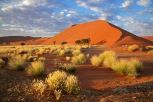 Namibia Rundreisen