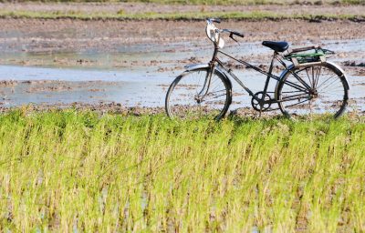 Vietnam Kreuzfahrt - Vietnam Individualreise - Vietnam Radreise - Vietnam Rundreise - Fahrrad - Mekongdelta