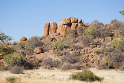 Landschaft im Limpopo Tal - Limpopo - Suedafrika