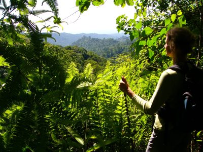 Aktivurlaub auf Sao Tome und Principe - Obo Nationalpark - Sao Tomé e Principe - Rundreise