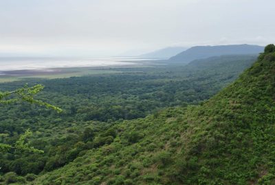 Tansania Rundreise und Badeurlaub auf Zanzibar - Bergregenwald - Udzungwa Mountains-Nationalpark Tansania