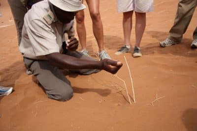 Die Wüste lebt Tour- Namib-Naukluft-Nationalpark - Namibia