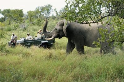 Pirschfahrt - Serengeti - Tansania