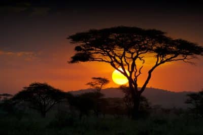 Sonnenuntergang - Safari in der Serengeti - Tansania