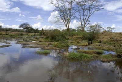 Wasser und Landschaft - Serengeti Nationalpark - Tansania