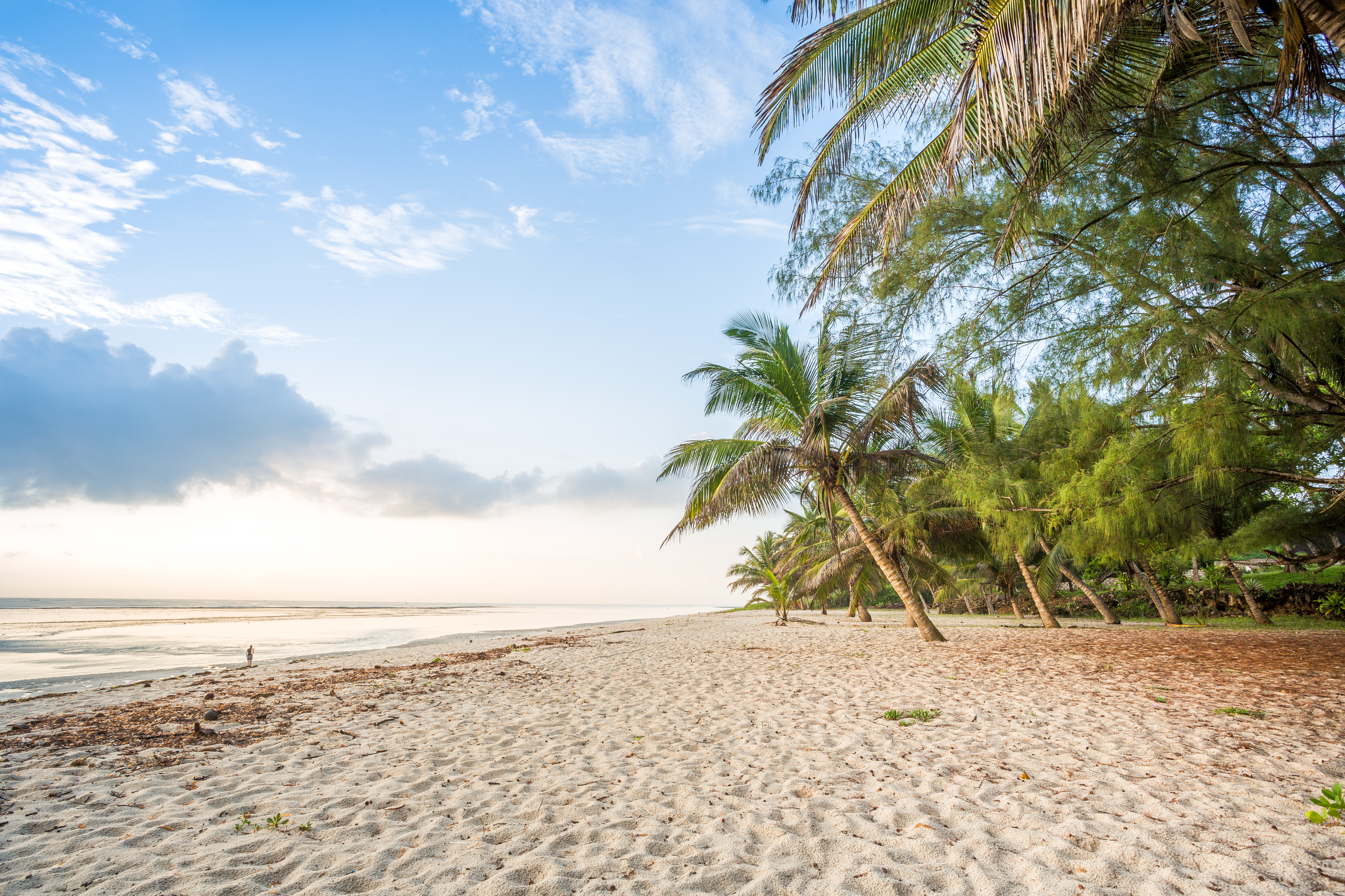 Palmen am wei&szlig;en Sandstrand von Diani Beach in Kenia